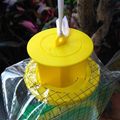 Persoonlijke grootte PVC vliegvanger Vliegentasche kooi voor vliegbestrijding in elke omgeving