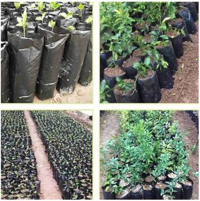 Plastic kinderzak voor tuinplanten Fruit Groenten Bloemenplanter
