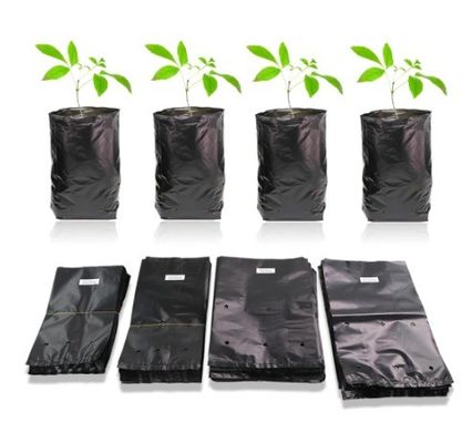 Plastic kinderzak voor tuinplanten Fruit Groenten Bloemenplanter