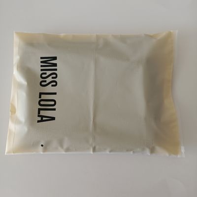 Gravure Printing Zipper Plastic Bag voor kledingverpakking Custom Logo en waterdicht