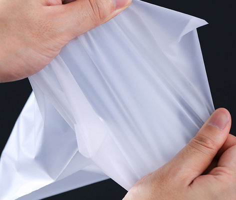 Eco-vriendelijk drukwerk Plastic Zip Lock Packaging Bags voor kleding 0.08mm Custom Dusty